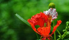 11月运势变得更高，事业大红大紫，财运亨通，收入高涨的四属相