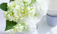 巨蟹座的纯粹，你了解多少？