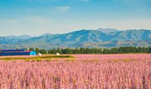 属兔女和属狗男的相配吗 婚姻状况怎么样(图文)