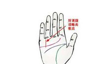 财运线图解女大全