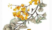 生肖属猪女2020年6月份生鼠宝宝好吗，会相合吗