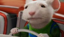 2020年属鼠本命年带什么转运好运起来