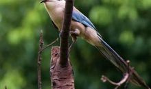 11月5号横财大旺，事业如鱼得水，万事兴荣的四大生肖