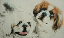 属狗人今天过后事业一顺百顺注意一点就可步步高升财运大转旺不停