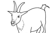 属羊的人2021年犯太岁吗？牛年冲犯太岁要注意什么