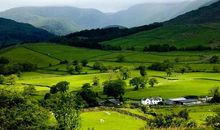 这四个生肖有福气，11月有锦鲤附身，一整年兴旺发达