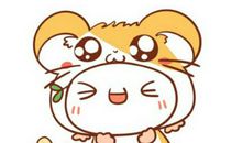 什么生肖和属鼠不合 2020年属鼠与什么父母生肖相冲