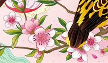 八字取名：2019年农历十二月十八出生的女孩命运好吗，用哪些字起名好