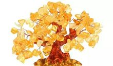 三月一日开始，运势高涨，机遇不断，喜事临门的四大生肖