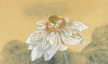 生肖属蛇的哪几个月出生最好，四月蛇受天之福