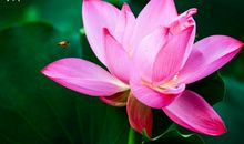 不瞒你说：熬到3月，运势上上签，横财入命，日子有钱有福的生肖