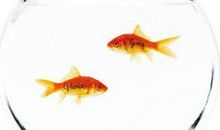 罗桂元：论祖坟风水不好的现象有哪些