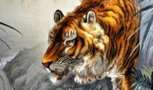 2020年6月生肖属虎运势,“天德”吉星能够带来很好的贵人运