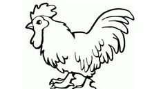 属鸡人2021年佩戴什么开运吉祥物好？男性女性牛年属鸡的带什么招财运