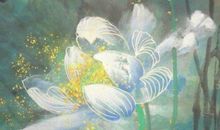 2020年生肖属兔的每月运势，这几个月要注意