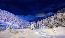 旧爱深情不负，释怀过去，重新留住爱情的星座