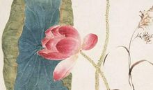 什么时辰出生的属马人命运最好，丑时马知足常乐