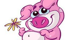 属猪人文竹风水摆放禁忌,文竹放在哪里风水好？(图文)