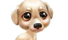 生肖狗和生肖蛇的合财吗？