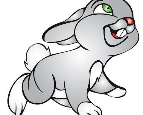 2020年5月生肖属兔运势，异性缘佳，有望脱单