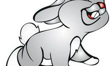 2020年5月生肖属兔运势，异性缘佳，有望脱单