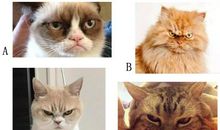 盛怒之下，你是否给人带去了负能量