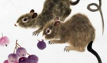 爱妻如命的三个生肖男，疼爱妻子，是你老公吗？