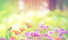 属龙2019年过年之前能当上管理吗？如何催旺事业运？(图文)