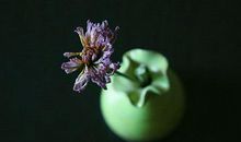 2020鼠年农历正月二十五日出殡可不可以？(图文)