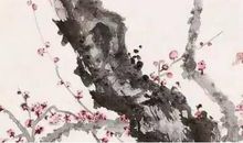 2020年12月28号出生的女孩取什么名字文雅，宜用什么字