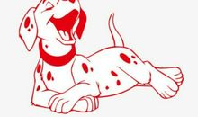 生肖狗和生肖鼠的合财吗？