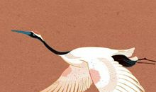 生肖属马2020年运势及运程，冲太岁事业低迷健康运势差