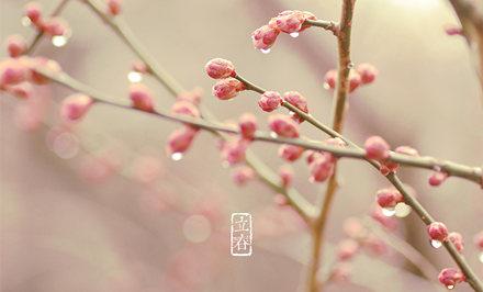 立春节气三候的含义是什么 立春后白天变长吗？(图文)