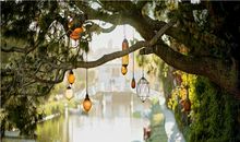 近期会迎接很多好事情的几大生肖