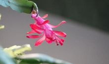 2月开始，开门撞大运，吉星高照，一帆风顺的星座