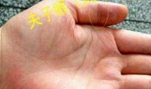 凤眼纹上方有一个痣代表着什么