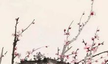 女孩取名：2020年12月26号出生的女孩参考四书五经取名字