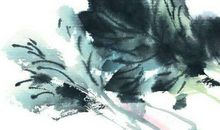 生肖属牛爸爸和什么生肖属相的宝宝相合相冲