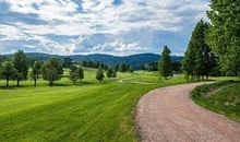 1月中旬，运势大红大紫，2020年发大财赚大钱的3大生肖