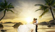 男虎女羊婚配如何