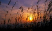 金牛座男生和什么星座最配，和热情聪明的水瓶女情投意合