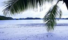 7天之内拥有好运，偏财大喜，如日中天的四大生肖