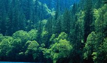 11月开门大吉，诸事将顺风顺水，飞黄腾达指日可待的四生肖