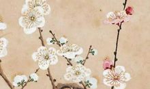 2020年5月23号闰四月初一日生的男孩命运好吗，取什么名字高分