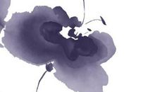 2020年生肖属牛的每月运势，2月和5月财运不错