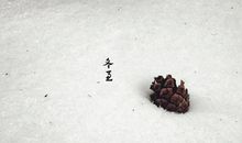 2019年冬至吃狗肉有何说法,为什么说＂冬至大如年＂？(图文)