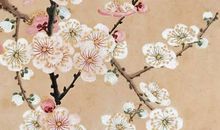 2020年5月24号闰四月初二日生的男孩命运好吗，取什么名字寓意佳