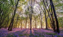 11.10号贵人相助，偏财运佳，日子不差的四大生肖