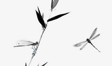 2020年生肖属羊的每月运势，1月和5月财运不错