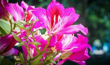 11月10号开始财运大涨，四生肖正财上涨，财路顺畅月月赚大钱!